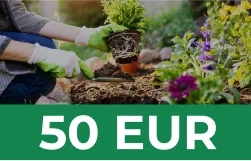 Dovanų kuponas - 50€