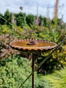 Sodo dekoracija- Perliukas kriauklėje