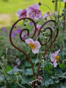 Sodo dekoracija-ŠIRDELĖ 5 Sodo dekoracija-ŠIRDELĖ