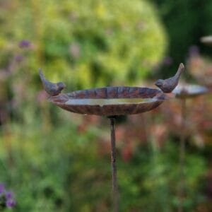 Paukštelių girdyklėlė-DVIESE