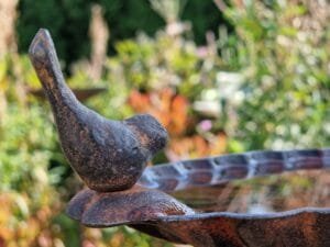 Paukštelių girdyklėlė-DVIESE