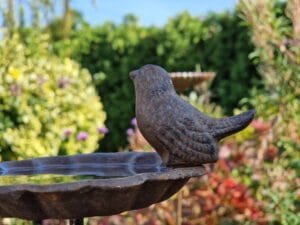 Paukštelių girdyklėlė -VIENAS