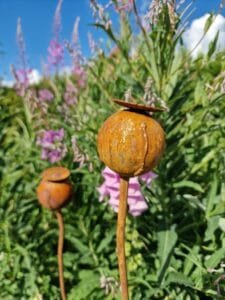 Sodo dekoracija-AGUONA 60mm.