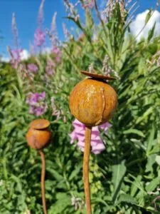 Sodo dekoracija-AGUONA 60mm.