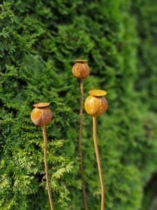 Sodo dekoracija-AGUONA 60mm.