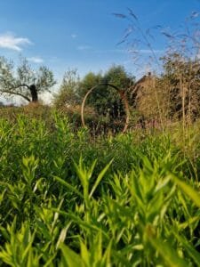 Metalinis Lankas-RYTAS