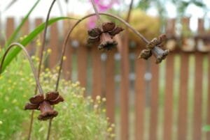 Sodo dekoracija-NARCIZAS 6 Sodo dekoracija-NARCIZAS