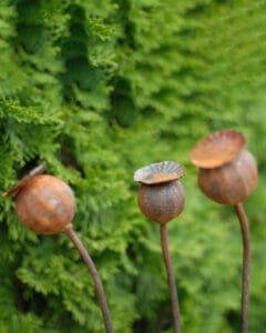 Sodo dekoracija-AGUONA