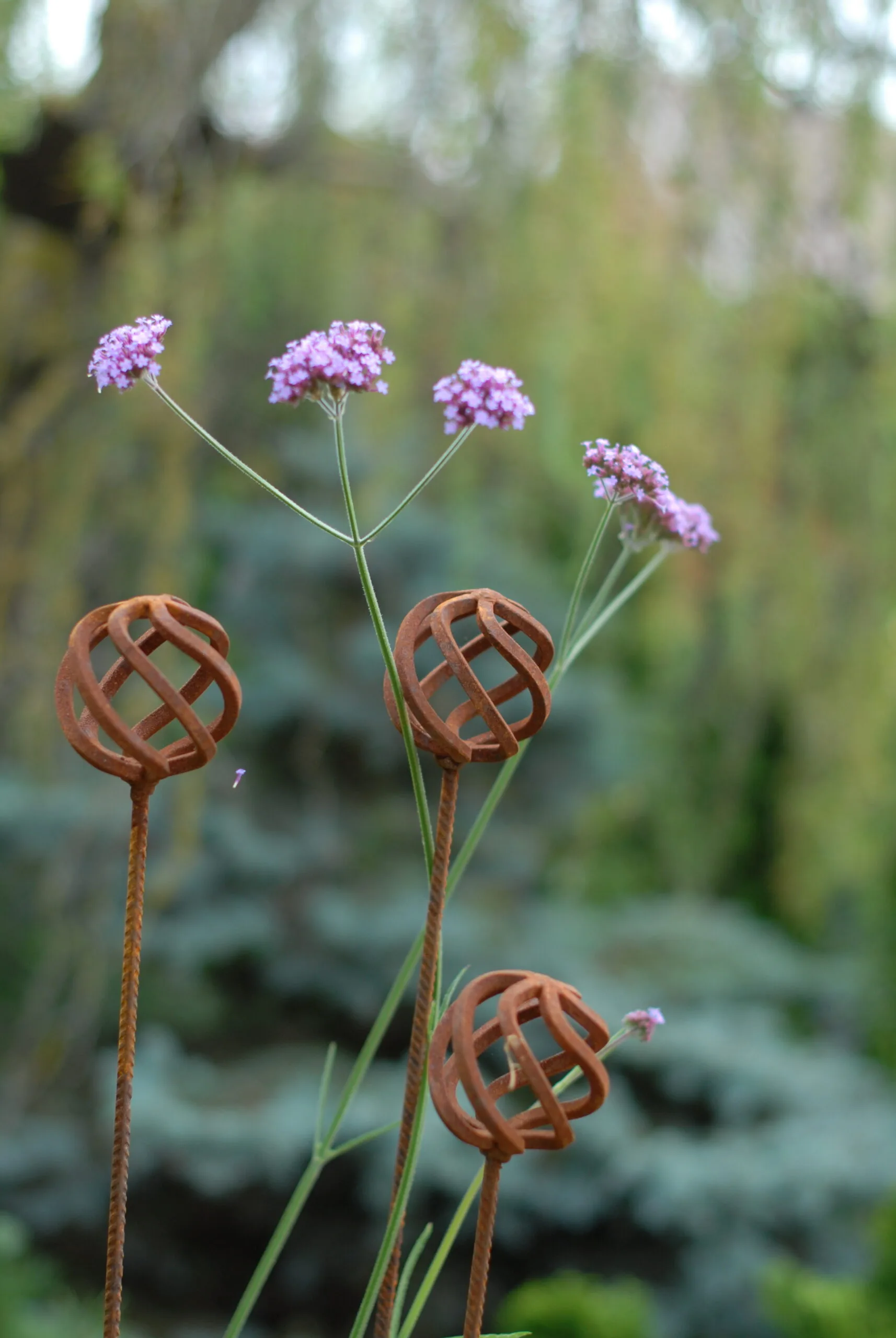 Sodo dekoracija-RUTULYS - Image 4