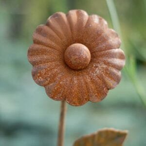 Sodo dekoracija-GĖLYTĖ