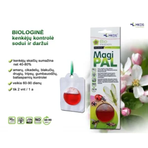 MAGIPAL NAUDINGŲ VABZDŽIŲ VILIOKLIS "MEDŽIO AUSKARIUKAI", 1 VNT 4 MAGIPAL NAUDINGŲ VABZDŽIŲ VILIOKLIS "MEDŽIO AUSKARIUKAI", 1 VNT