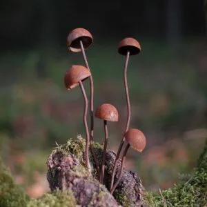 Sodo dekoracija-KELMUČIAI