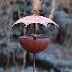 Lesyklėlė paukšteliams-PO LIETSARGIU