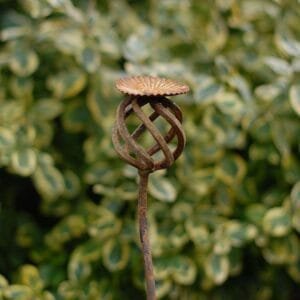 Sodo dekoracija-PINTA AGUONA | sodaskitaip