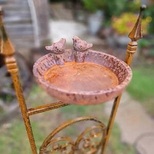 Paukštelių girdykla-PAVASARIS.