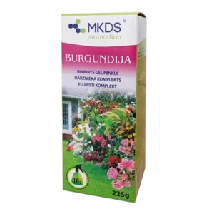 a box of flowers and plants