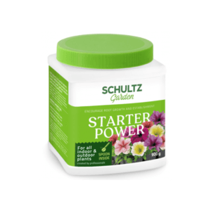 SCHULTZ PERSODINIMO STIMULIATORIUS