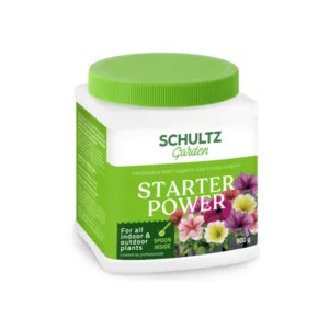 SCHULTZ PERSODINIMO STIMULIATORIUS