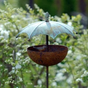 Lesyklėlė paukšteliams su patina