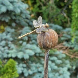 Burbuliukas su Laumžirgiu 4 Burbuliukas su Laumžirgiu