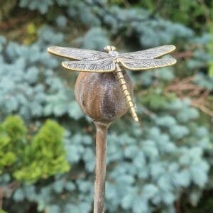 Burbuliukas su Laumžirgiu