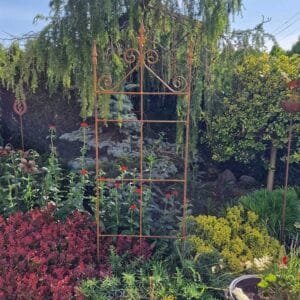 Atrama vijokliniams augalams