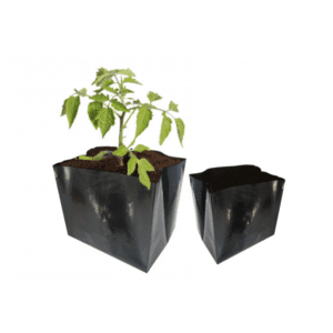 Polietileno maišeliai daigams 2l.-100vnt. 2 VAZONAI 600x600 1