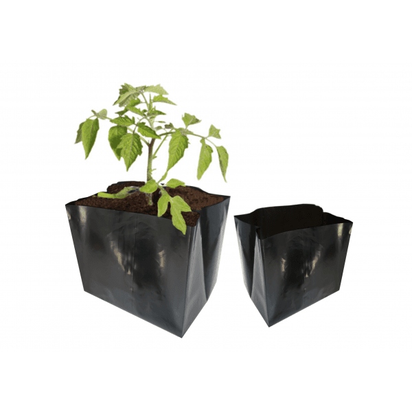 Polietileno maišeliai daigams 1l.-100vnt. 1 Polietileno maišeliai daigams 1l.-100vnt.